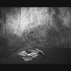 Hikikomori<br>I libri (2015)